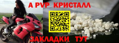 тгк Гай