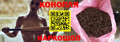 тгк Гай