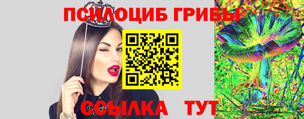 Псилоцибиновые грибы Psilocybine cubensis  Вход с VPN  Фролово  Псилоцибиновые грибы Cubensis 